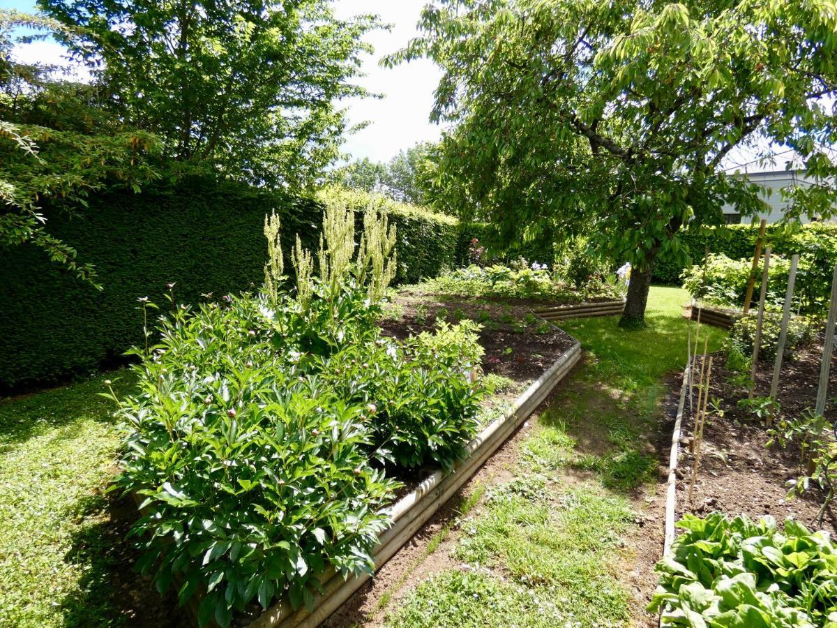 "La Veranda" Gite Verdigny Buitenkant foto